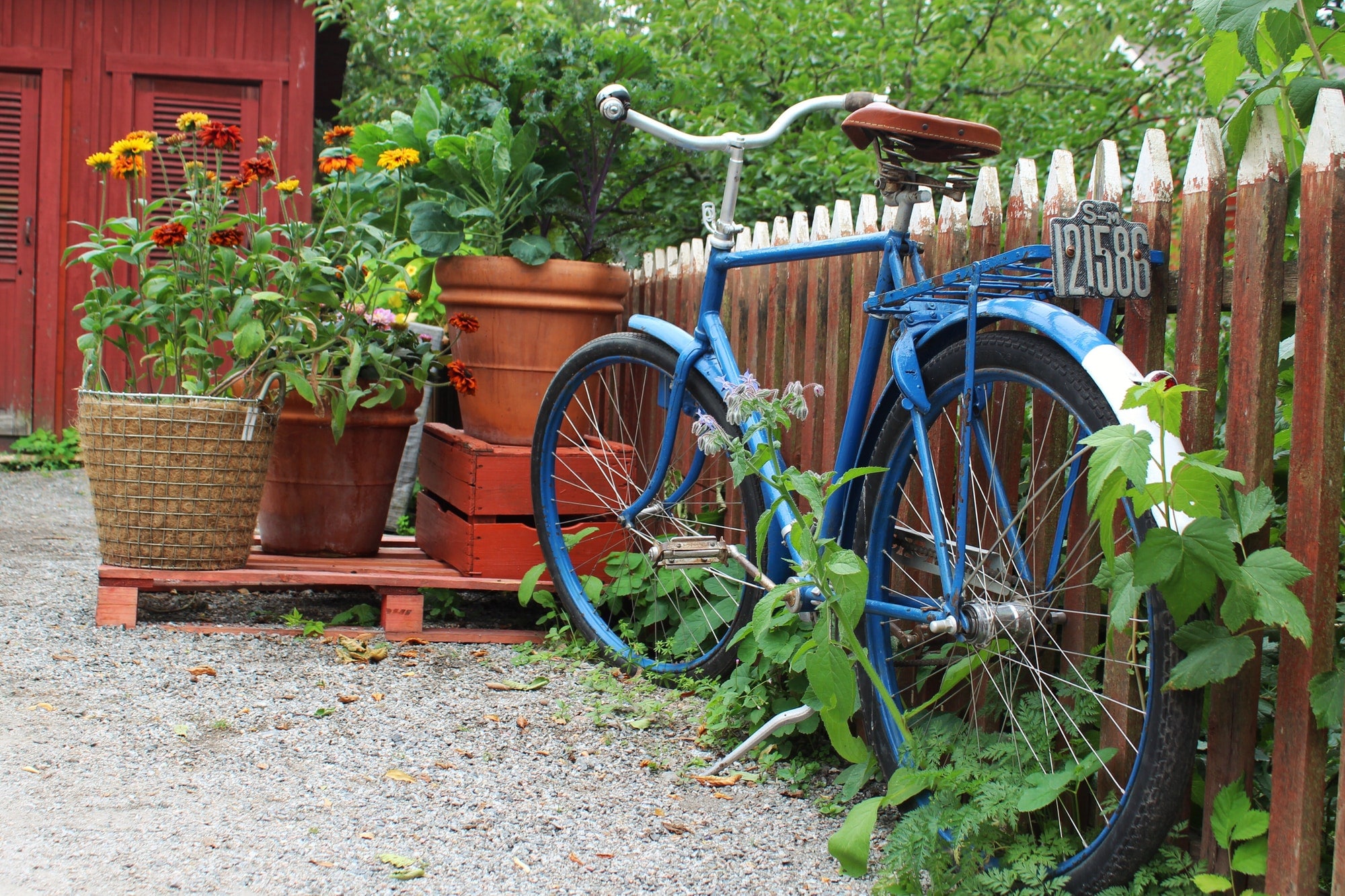 Blue bike parked outside a country cottage